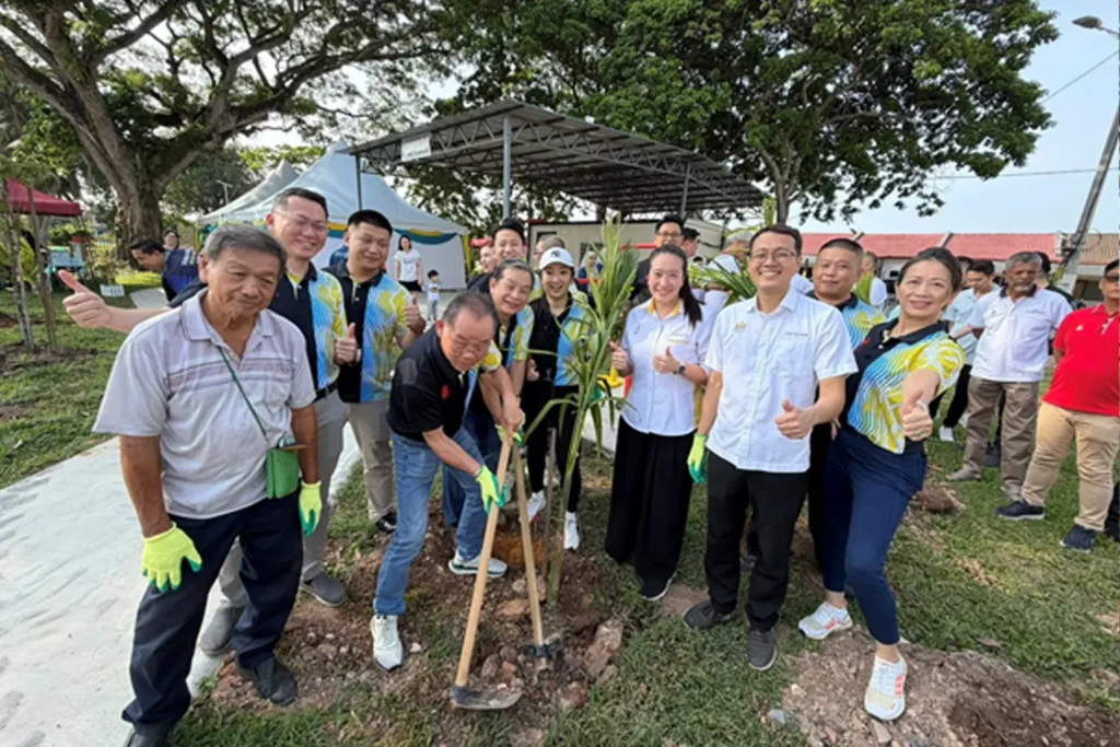 前人种树，后人乘凉！今天我们去北海Kampung Manggis种槟郎树啦！